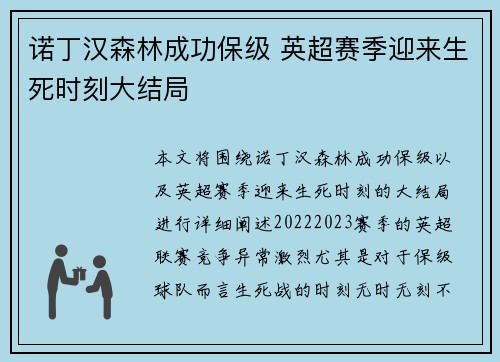 诺丁汉森林成功保级 英超赛季迎来生死时刻大结局